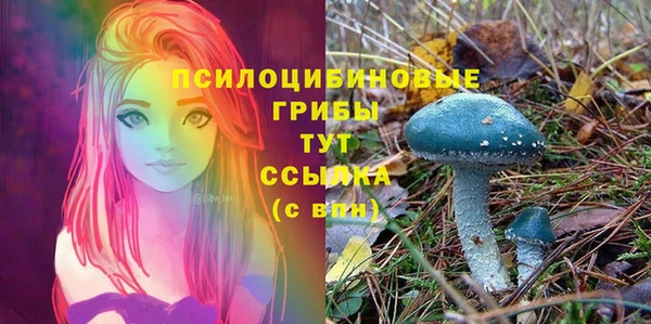 MDMA Premium VHQ Бородино