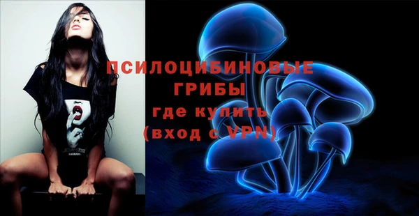 MDMA Premium VHQ Бородино